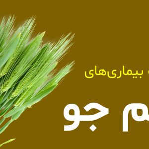 barley-diseases-management