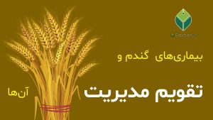 wheat-diseases-control-calendar